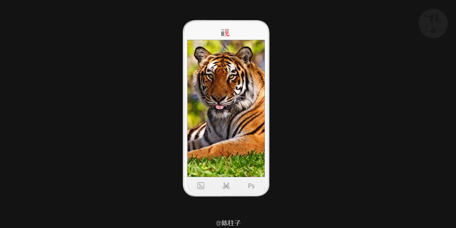 陈柱子：尊重竖屏，病猫重新变回猛虎
