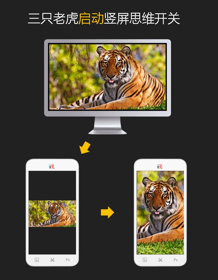 竖屏思维走进郑州电商大会-13:三只老虎启动竖屏思维开关