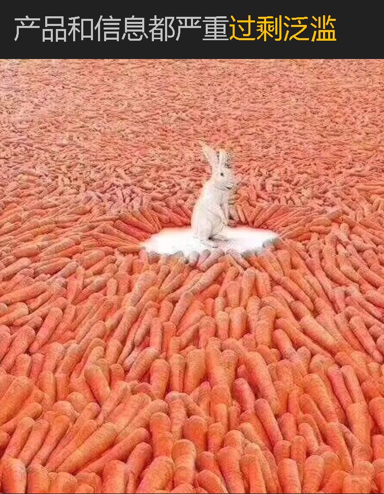 竖屏思维走进郑州电商大会-15:产品和信息严重过剩泛滥